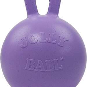 Jolly Pets Tug-n-Toss Heavy Duty Dog Toy Ball with Handle, 10 Inches/X-Large, Light Purple
